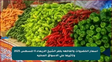 أسعار الخضروات والفاكهة بكفر الشيخ الأربعاء 6 أغسطس 2025 وتأثيرها على الأسواق المحلية